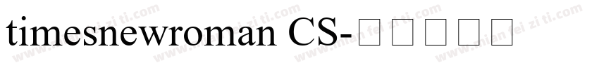 timesnewroman CS字体转换